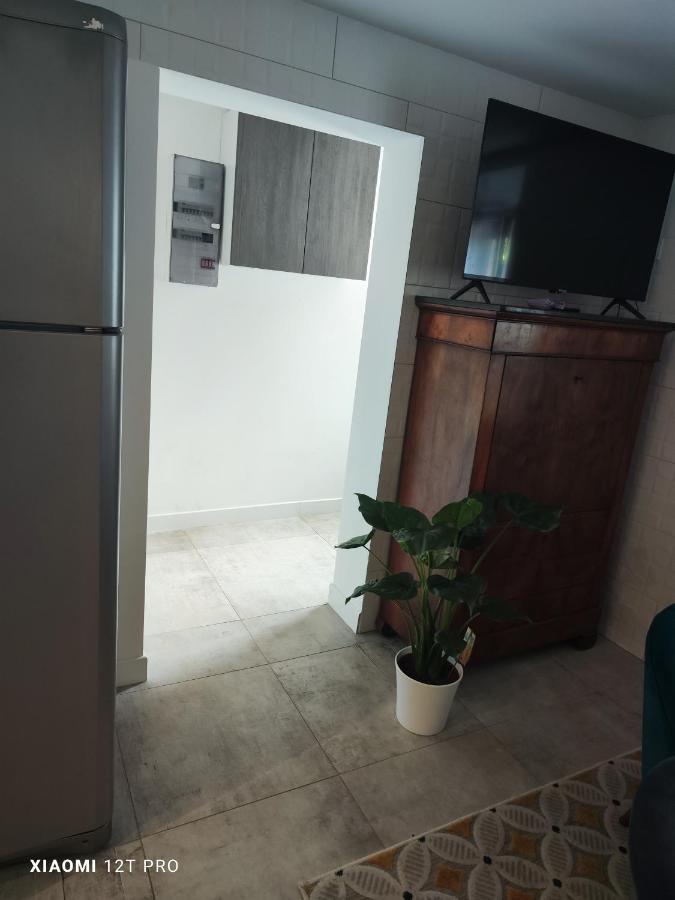 Appartement Renovee Dans Maison Ancienne Amancy Bagian luar foto