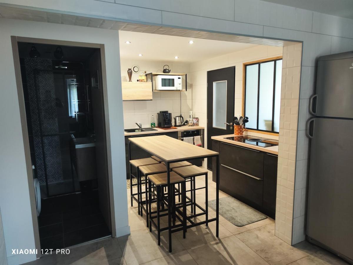 Appartement Renovee Dans Maison Ancienne Amancy Bagian luar foto